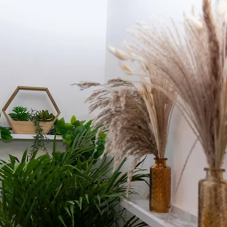 Les Nuits Charnelles